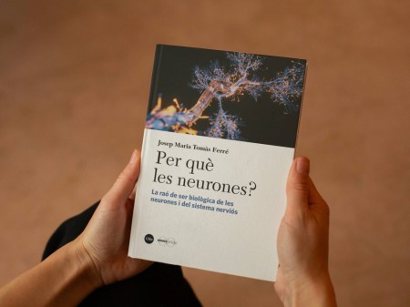 Un libro trata el vínculo entre las neuronas y las capacidades de la mente humana