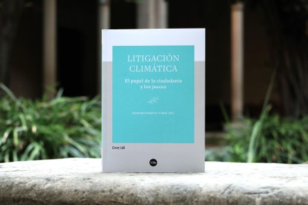 La emergencia climática bajo la lupa judicial