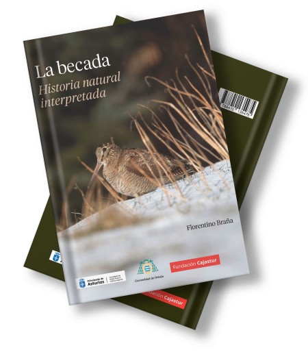 Novedad editorial: "La becada. Historia natural interpretada"